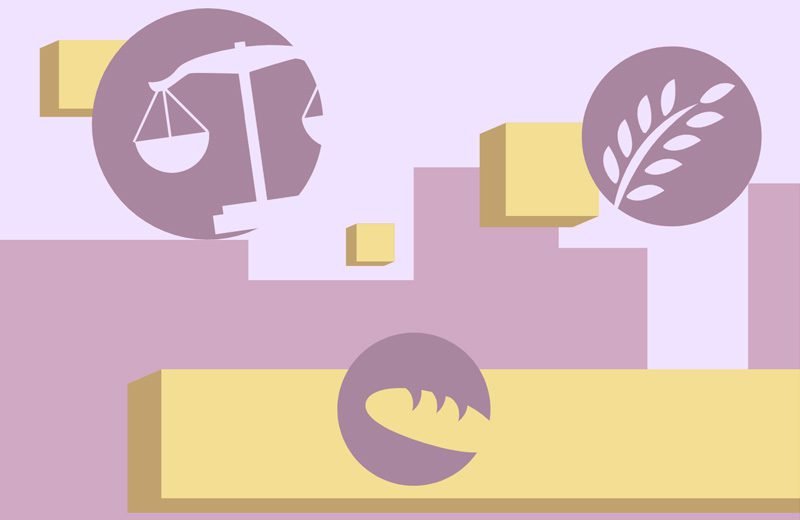 Introdução à Economia do Setor Público