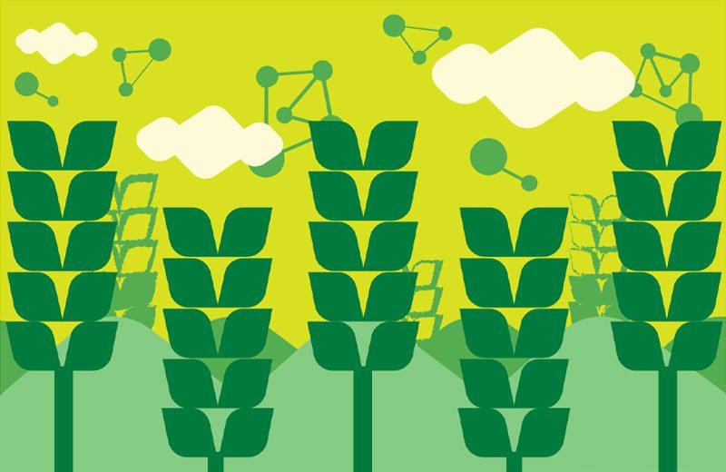 Formação de Facilitadores de Aprendizagem