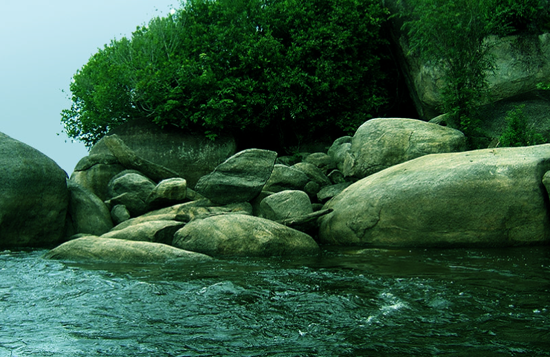 Valores Culturais da Natureza